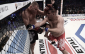 MMA Attack 3 - relacja