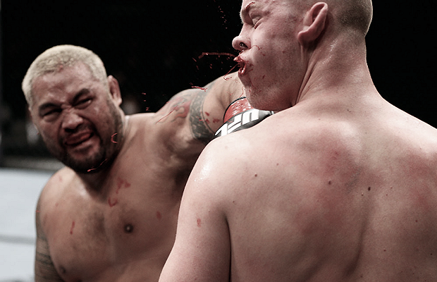 Mark Hunt vs Stefan Struve