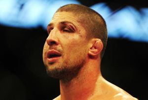 schaub