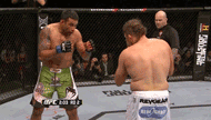 Werdum vs Nelson