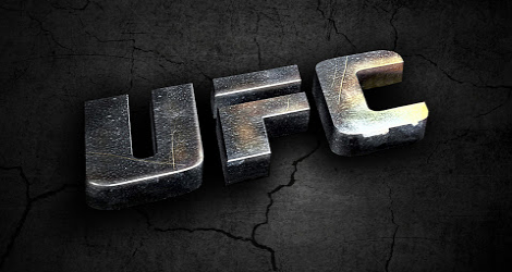 UFC 2013 Typowania