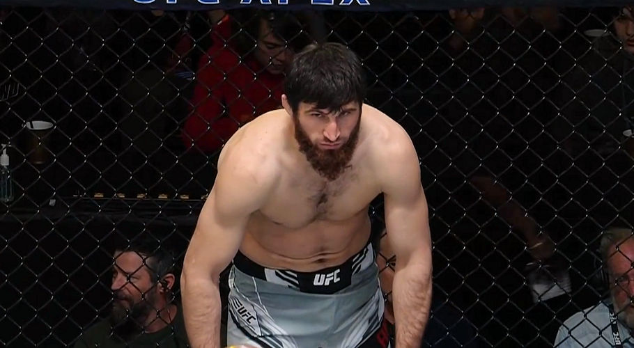 Magomed Ankalaev podpisał kontrakt na walkę – znamy termin?