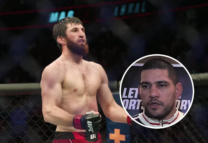 „Jeśli przegra, już nigdy nie będzie walczył o pas” – UFC wyrzuci Magomeda Ankalaeva z rozgrywki mistrzowskiej? Śmiała teza Alexa Pereiry przed UFC 320!